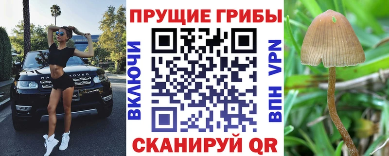 Галлюциногенные грибы мухоморы  где продают наркотики  Беломорск 
